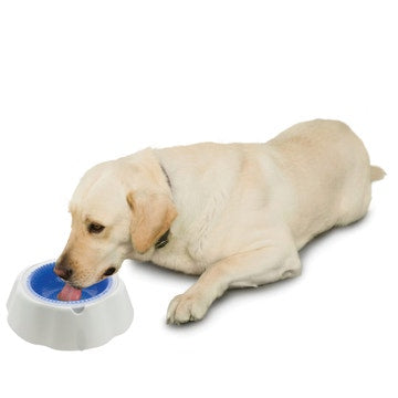 16 oz. Frosty Water Chilling Dog Bowl
