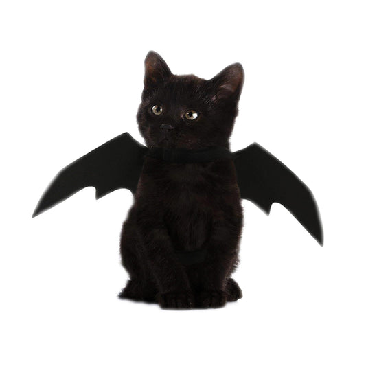 Black Bat Pet Costume