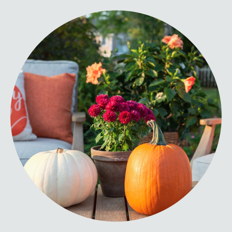 Seasonal Items
