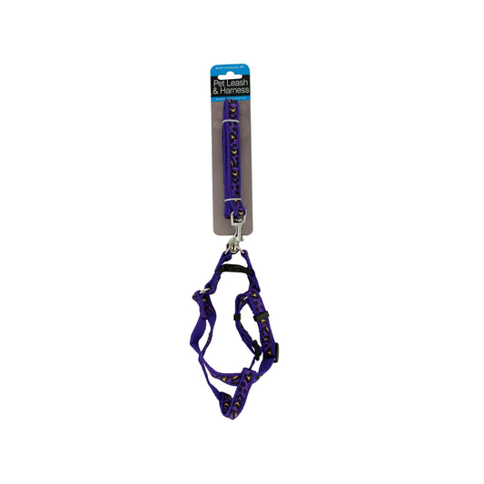 Cheetah Print Dog Leash & Adjustable Harness