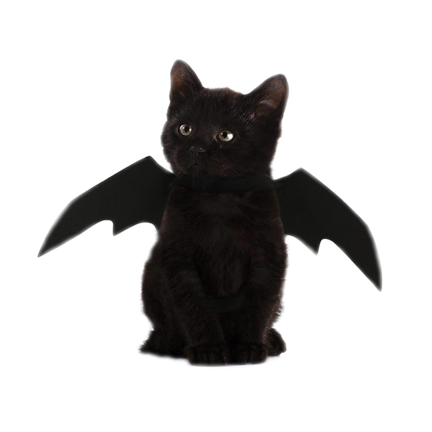 Black Bat Pet Costume