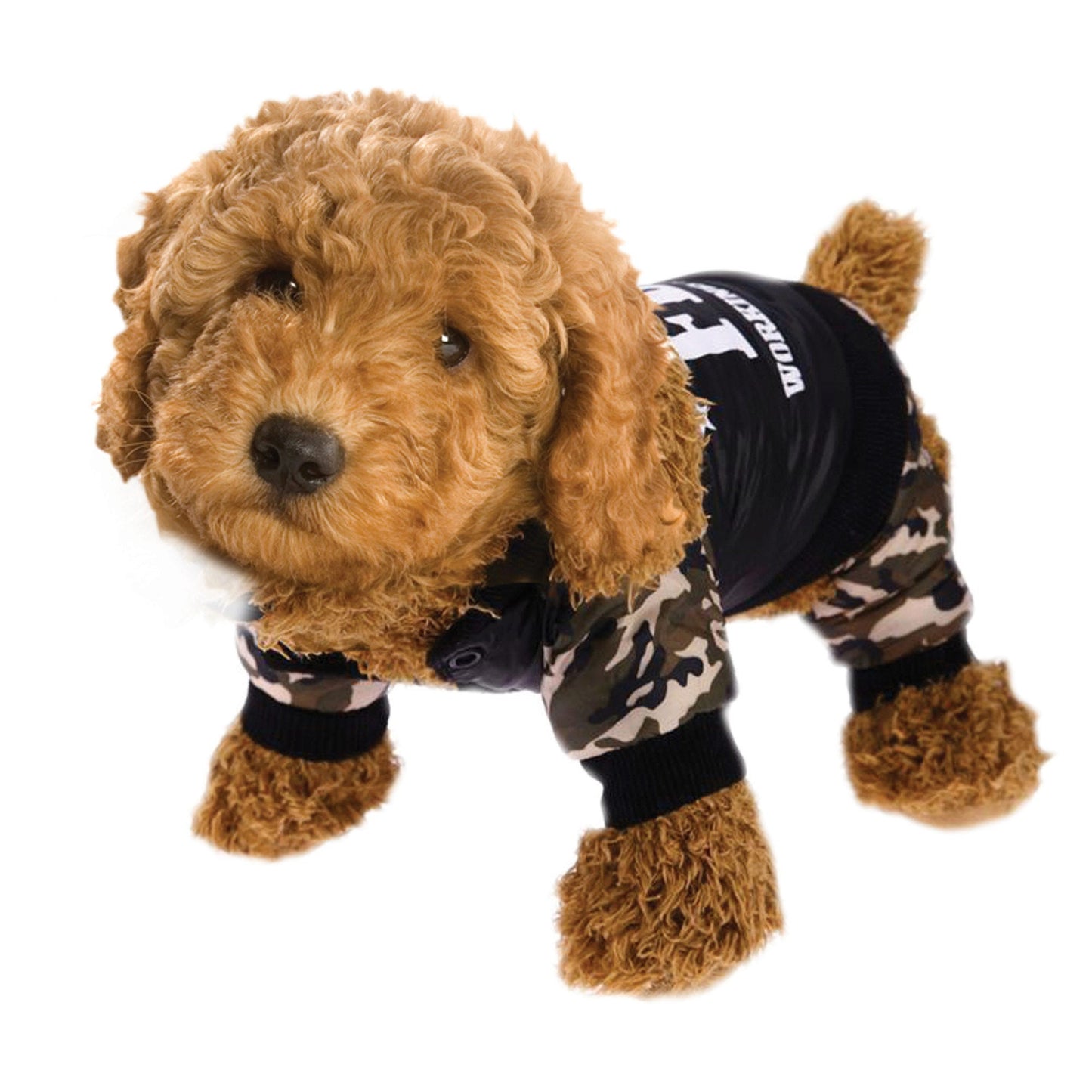 Skeleton Pet Costume